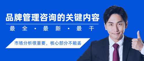 品牌管理咨询的关键内容与目标市场分析的重要性
