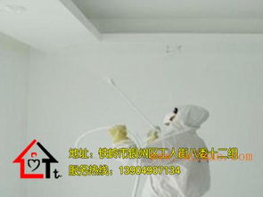 天天家政信息咨询 一站式服务助力汽车维修与家居装修